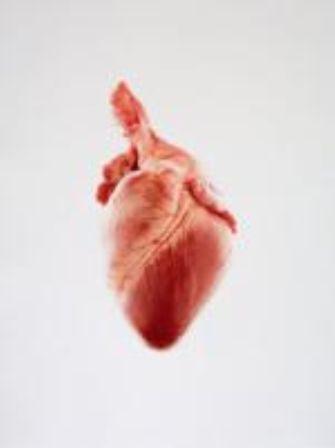 *Coeur a prendre*