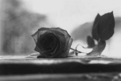 the death